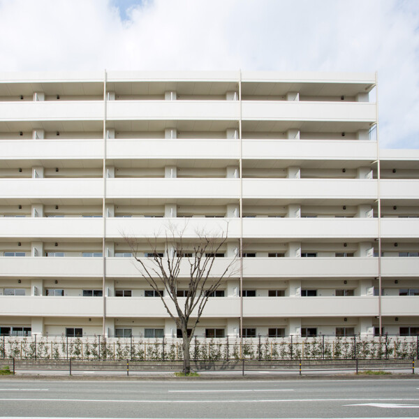 公営住宅（板付住宅）